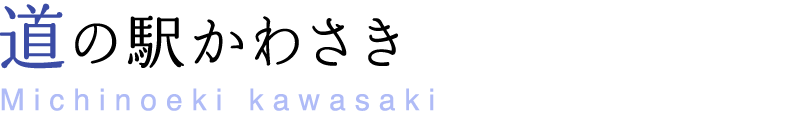 道の駅かわさき