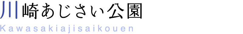 川崎あじさい公園