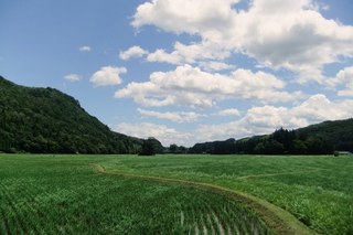 骨寺村荘園遺跡（一関）