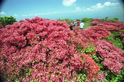 室根山