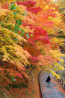 釣山公園（一関）
