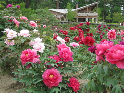 花と泉の公園
