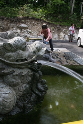 ぶなの恵み（一関、須川）