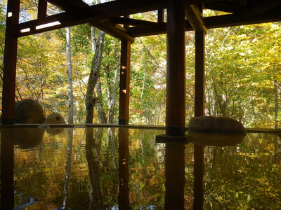 真湯温泉センター（一関、真湯）