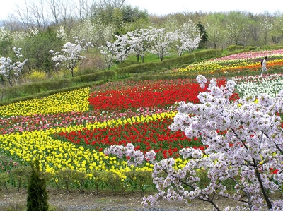 館ケ森