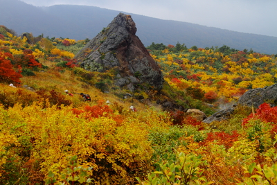 栗駒山