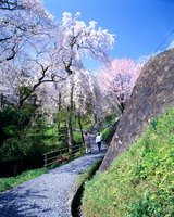 釣山公園