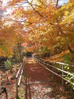 釣山公園（一関）