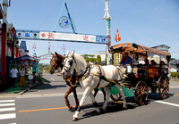 厳美渓（馬車）