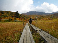 栗駒山