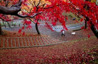釣山公園（一関）