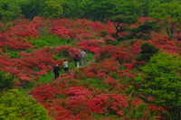 室根山