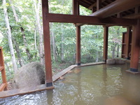 真湯温泉センター（一関、真湯）