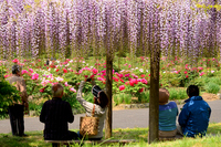 花と泉の公園