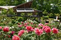 花と泉の公園