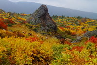 栗駒山