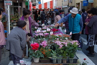 秋の花泉互市