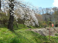 釣山公園