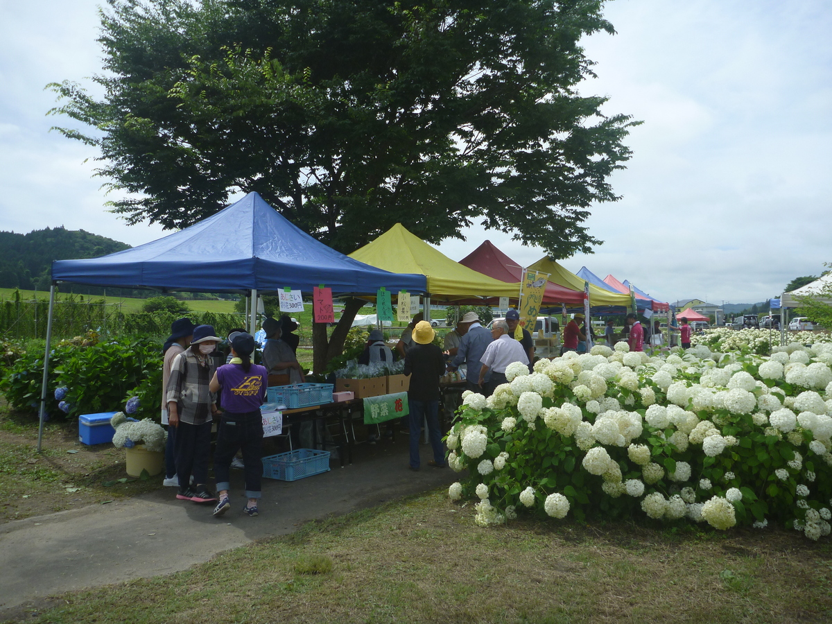 image02