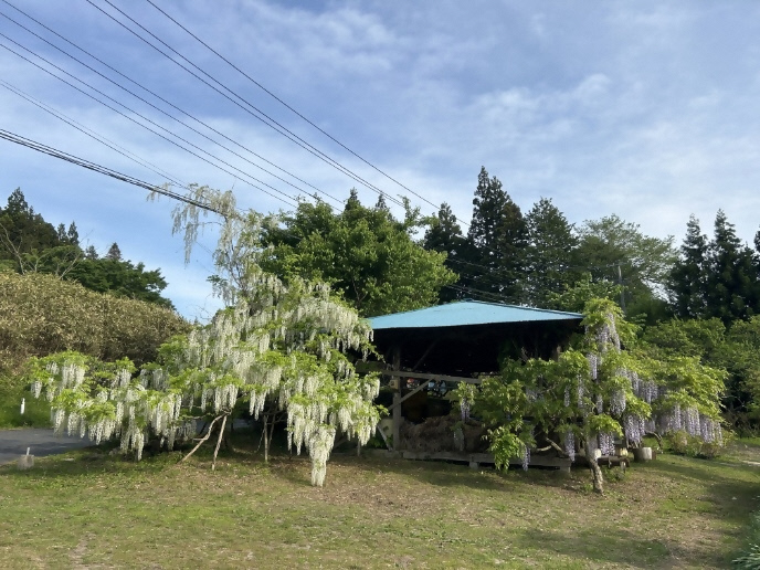 image02