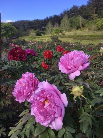 image03