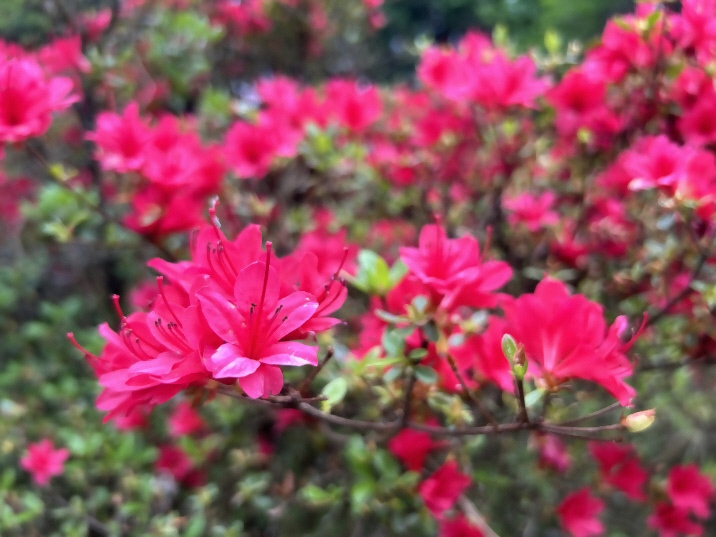 image03