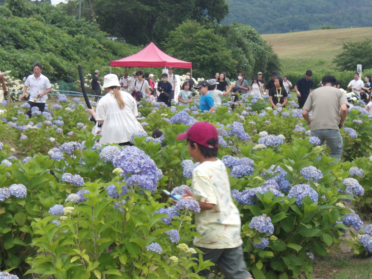 image03