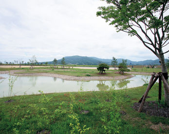 柳之御所遺跡 平泉の文化遺産