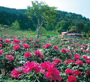 花と泉の公園