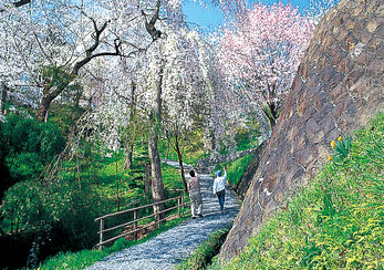 釣山公園