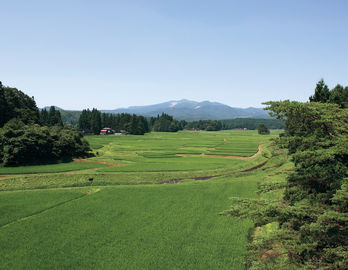 骨寺村荘園遺跡