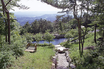 飛ケ森森林公園