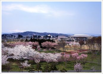 一関遊水地記念緑地公園