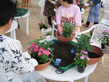 花とハーブの寄せ植え教室