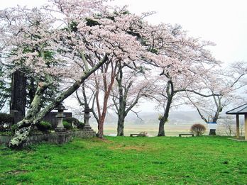 紫舘公園