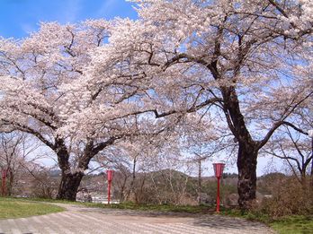 舘山公園