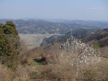 石蔵山林間広場