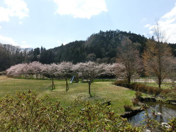 ちびっこウォーターフロント（親水公園）