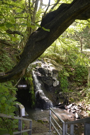 矢ノ森八景・藤壺の滝