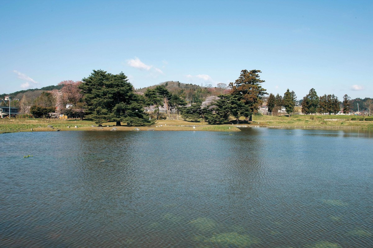 無量光院跡 平泉の文化遺産