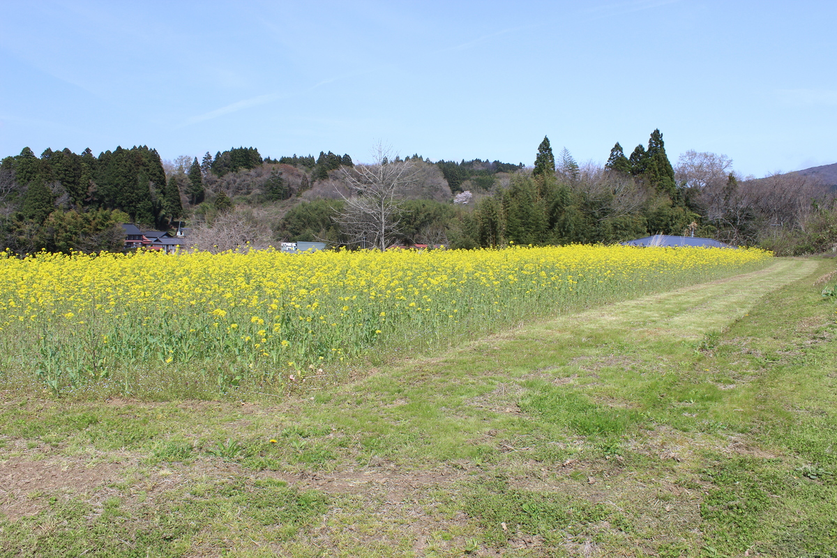 image02