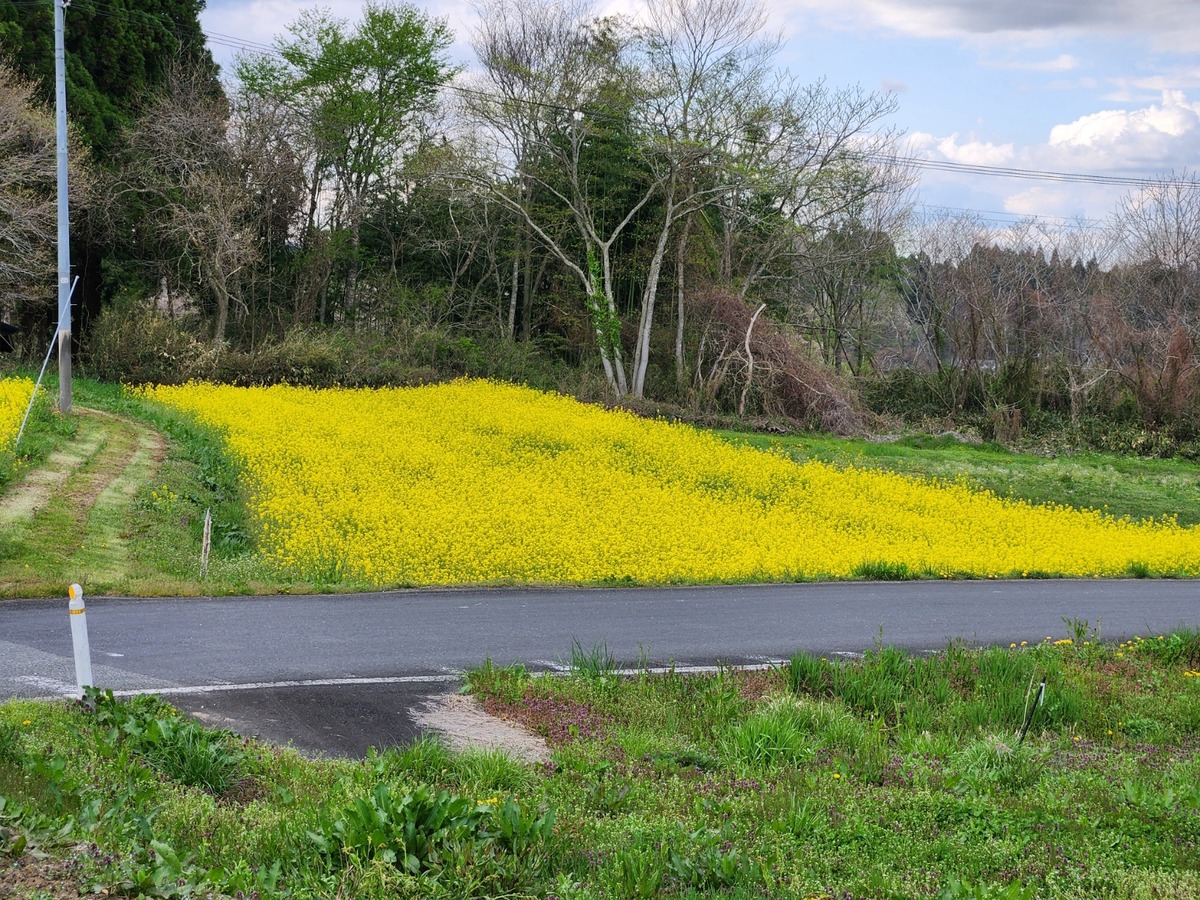 image03